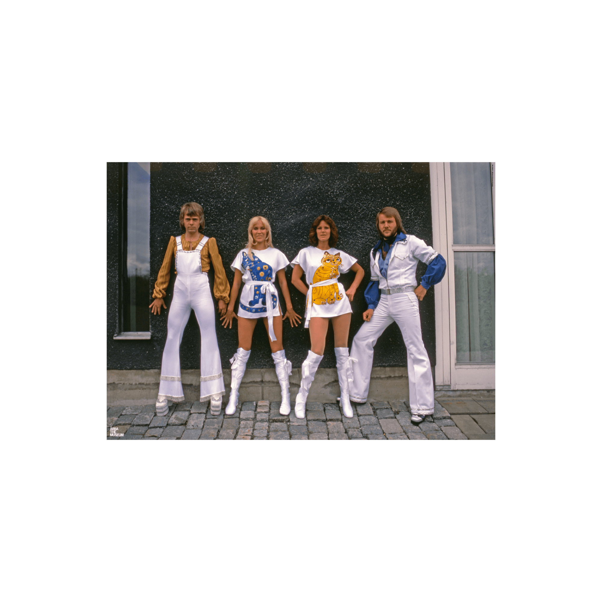 ABBA In cat suits affisch